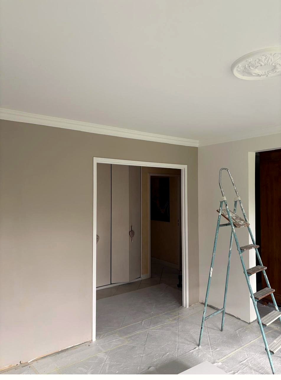 Pièce rénovée avec moulures et rosace de plafond repeintes, Genève